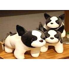 image2444-0