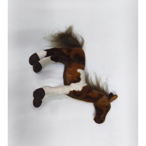 photo_4377@16-10-2025_08-40-59-3