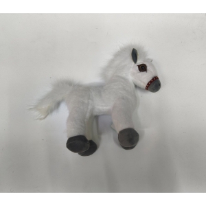 photo_4379@16-10-2025_08-43-32-2